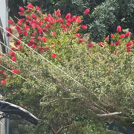 Vila Nimfa Zivogosce Luaran gambar